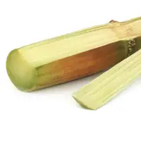 サトウキビエキス