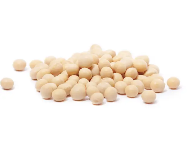 ダイズ種子エキス